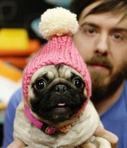 crochet dog hat
