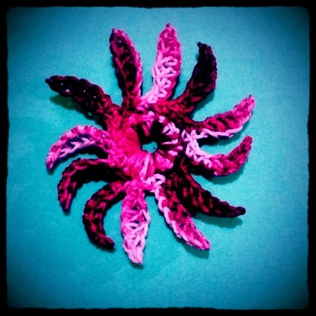 12-petal daisy irish crochet